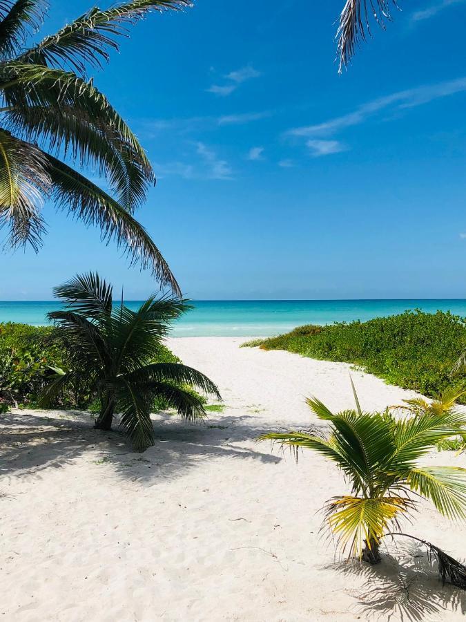 Cabana Tortuga A Unos Pasos De La Playa Lägenhet El Cuyo Exteriör bild