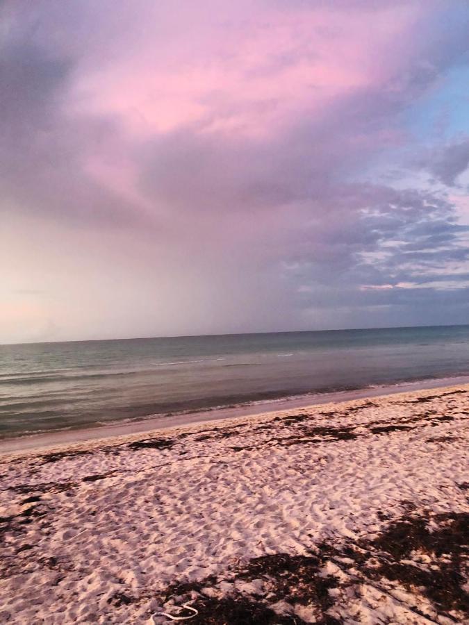 Cabana Tortuga A Unos Pasos De La Playa Lägenhet El Cuyo Exteriör bild